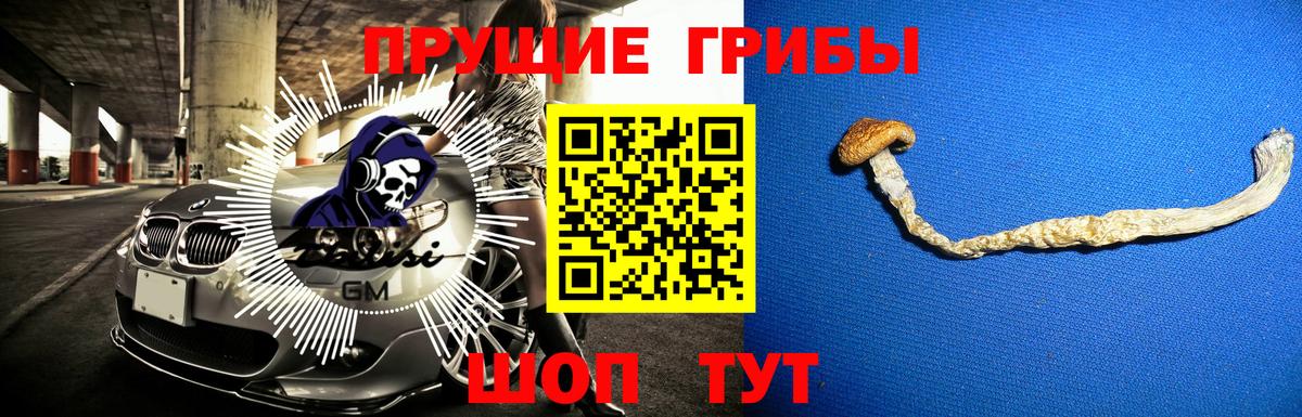 Псилоцибиновые грибы Cubensis  Вход с VPN  Ефремов  Псилоцибиновые грибы MAGIC MUSHROOMS 