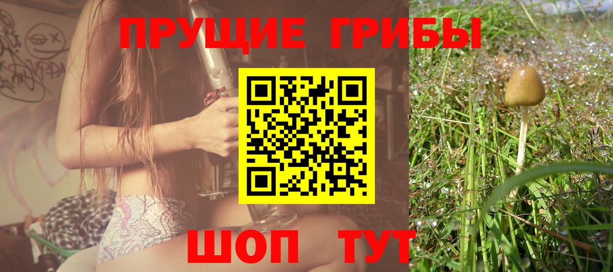 Галлюциногенные грибы Magic Shrooms Ефремов
